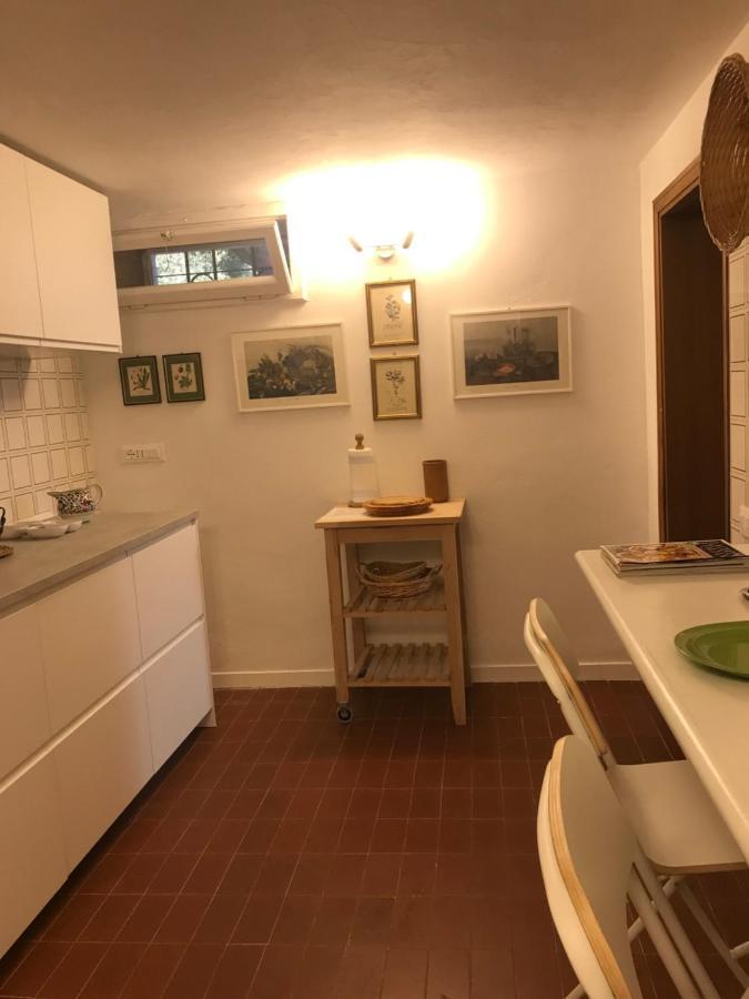 Campo Al Cerro Daire Bolgheri Dış mekan fotoğraf