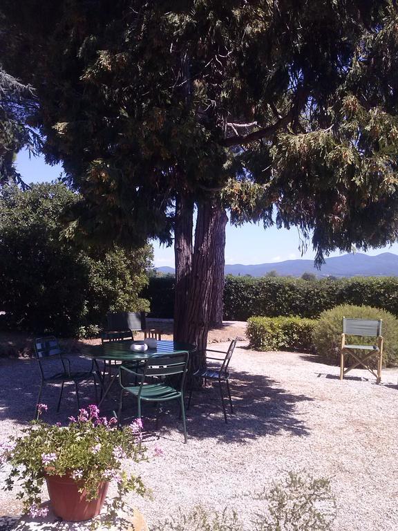 Campo Al Cerro Daire Bolgheri Dış mekan fotoğraf