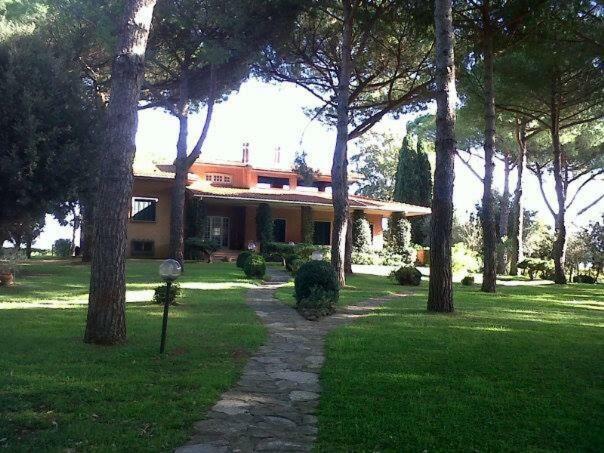 Campo Al Cerro Daire Bolgheri Dış mekan fotoğraf