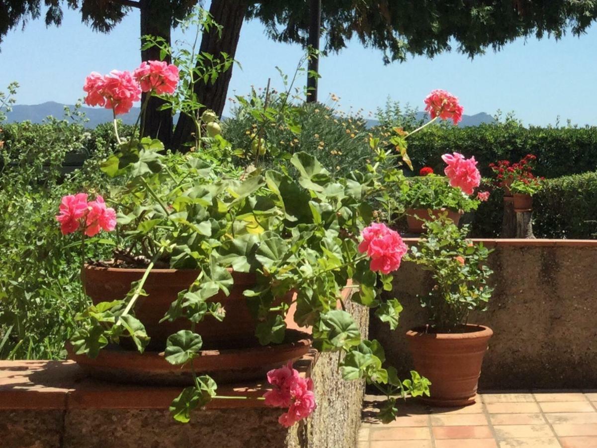 Campo Al Cerro Daire Bolgheri Dış mekan fotoğraf
