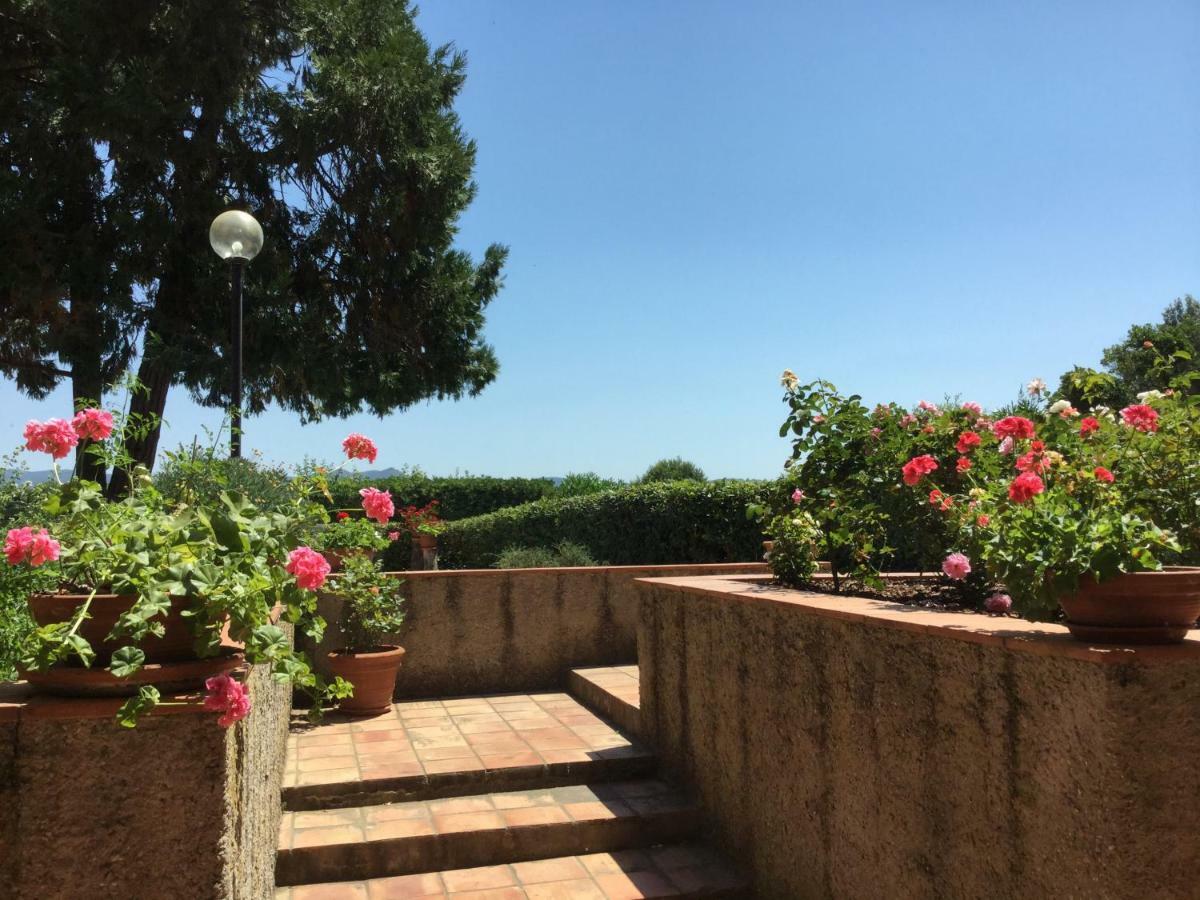 Campo Al Cerro Daire Bolgheri Dış mekan fotoğraf