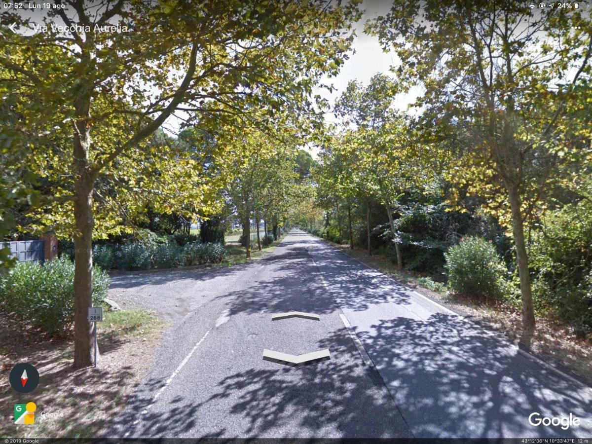 Campo Al Cerro Daire Bolgheri Dış mekan fotoğraf